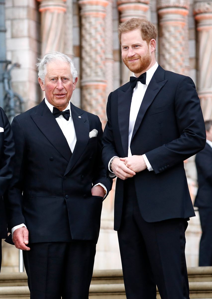 King Charles reportedly extends another olive branch to Prince Harry after family reunion