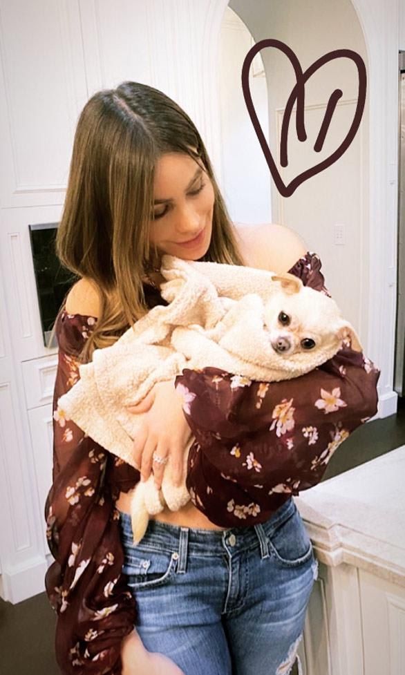 sofia vergara baguette thanksgiving