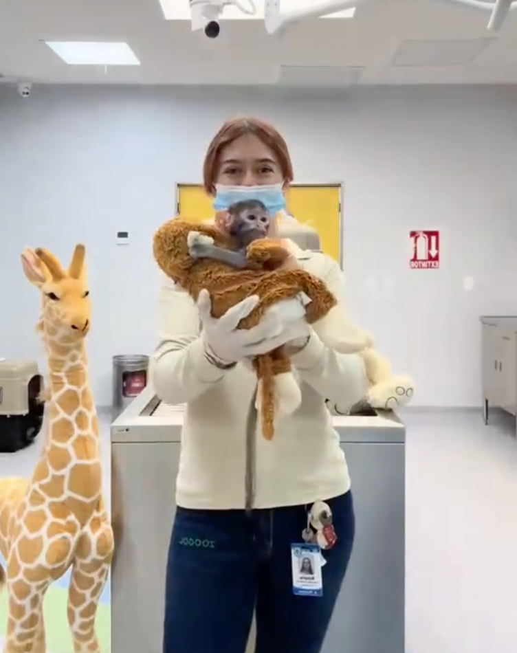 One of the most emotional aspects of Yuji’s story is his attachment to a stuffed animal. He clings to a small teddy bear that provides him with comfort and a sense of security.