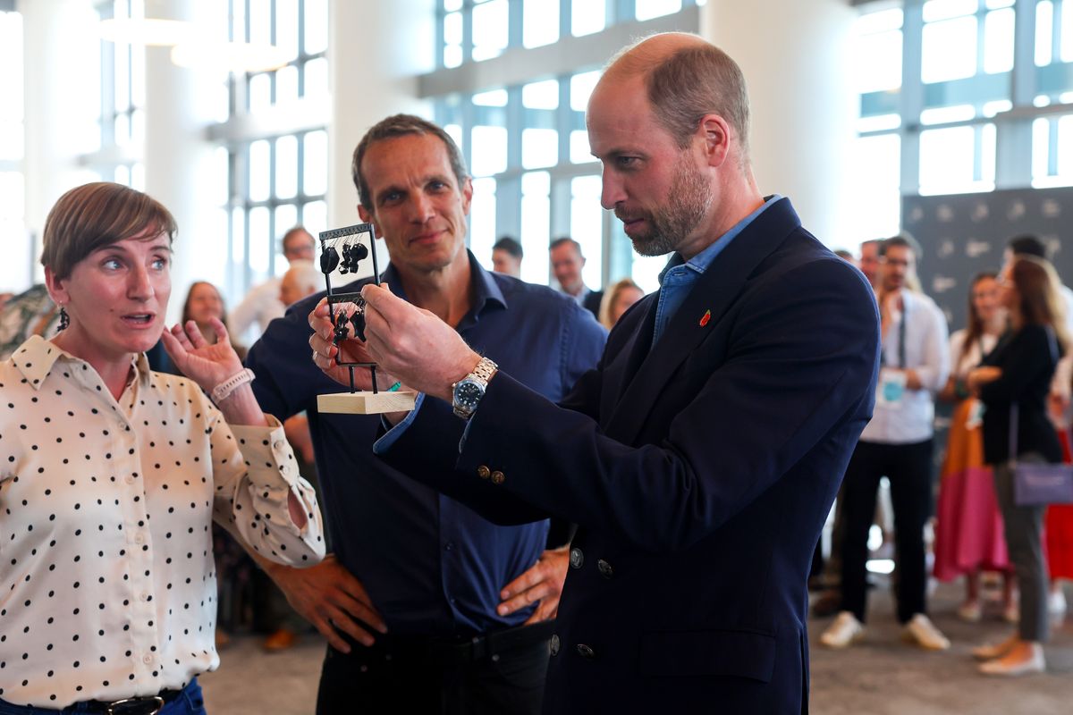 CAPE TOWN, SOUTH AFRICA - NOVEMBER 07: Prince William, Prince of Wales speaks with business representatives during a visit to meet seaweed businesses from the region to celebrate local innovation and to learn about the potential for it to repair and regenerate the planet at Portside Tower on November 07, 2024 in Cape Town, South Africa. During his visit, The Prince of Wales attended the fourth annual Earthshot Prize Awards and engaged in various environmental initiatives and participated in events held in Cape Town as part of 'Earthshot Week'. (Photo by Chris Jackson - Pool/Getty Images)