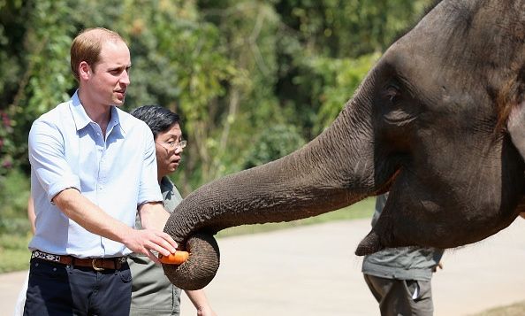 Prince William
Photo: Getty Images