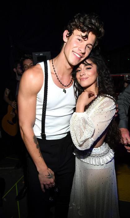 Shawn Mendes and Camila Cabello