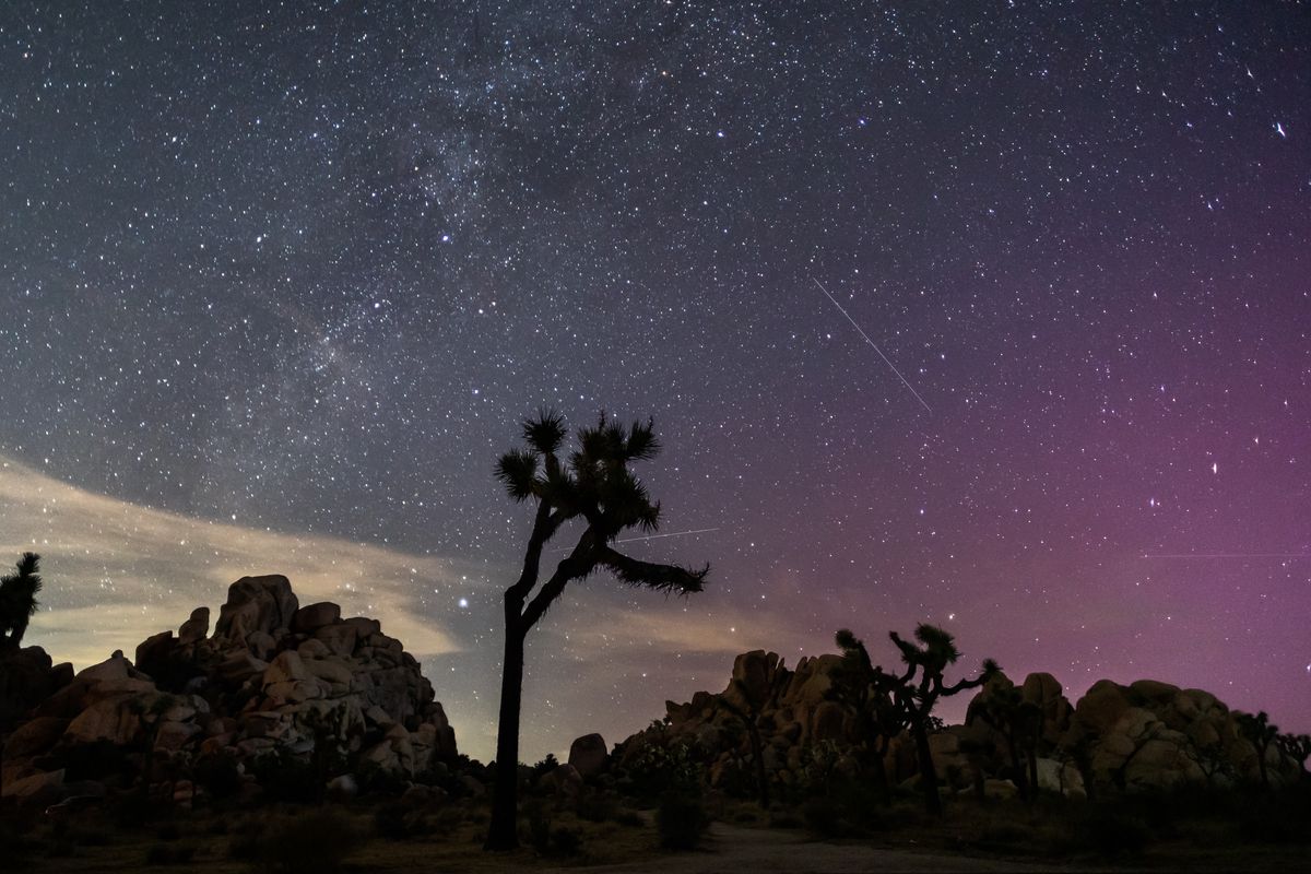 Perseids Meteor shower in Joshua Tree, California, early on August 12, 2024