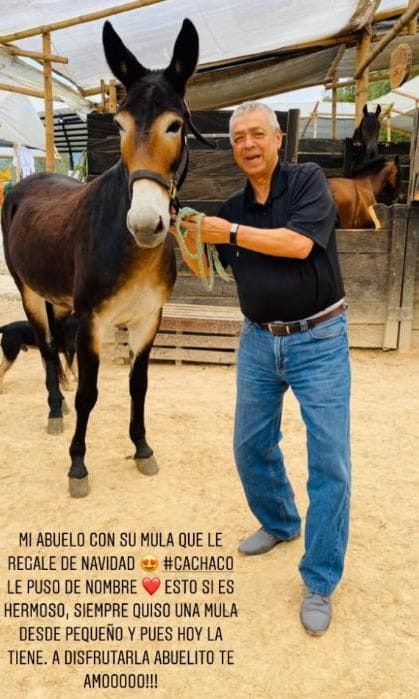 Maluma, grandfather gif