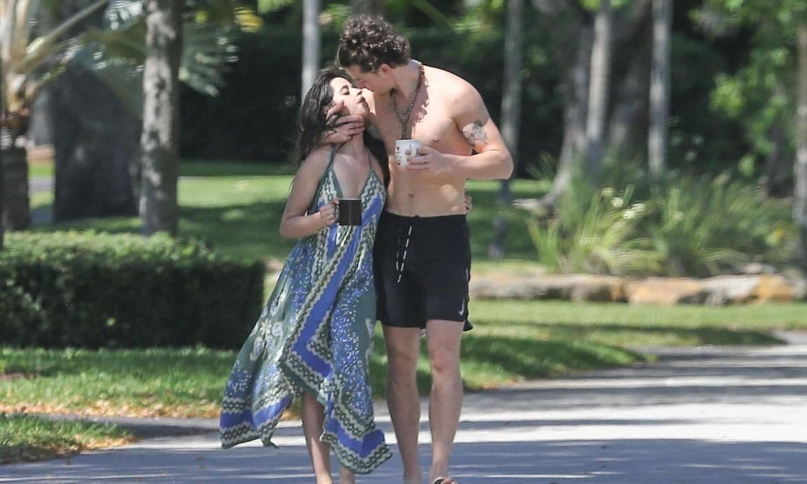 Shawn Mendes, Camila Cabello