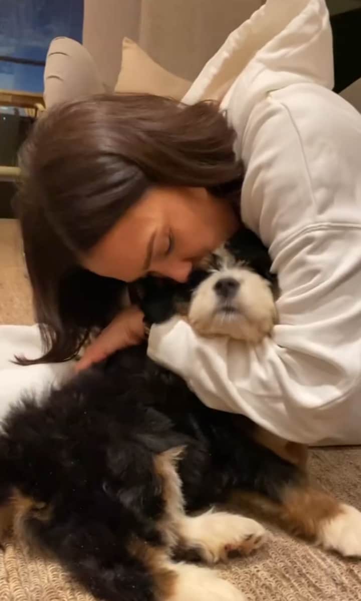 Jessica Alba dogs 2