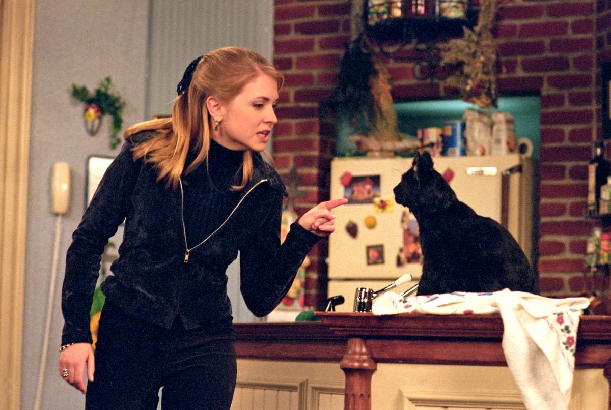 Sabrina (Melissa Joan Hart) ignored Salem's warning that her kiss would turn Harvey into a frog.