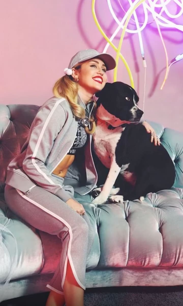 miley cyrus dog dies