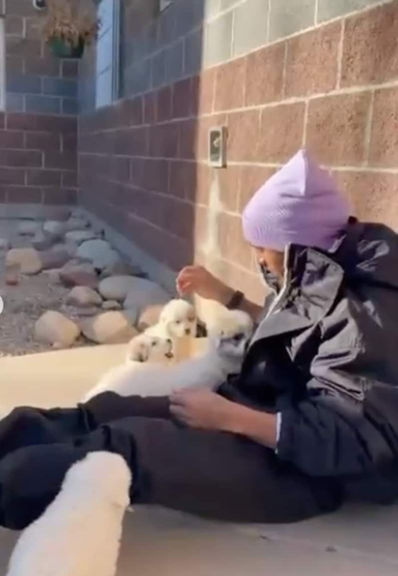 Lewis Hamilton has not revealed whether he has chosen to bring a new furry friend into his life. 