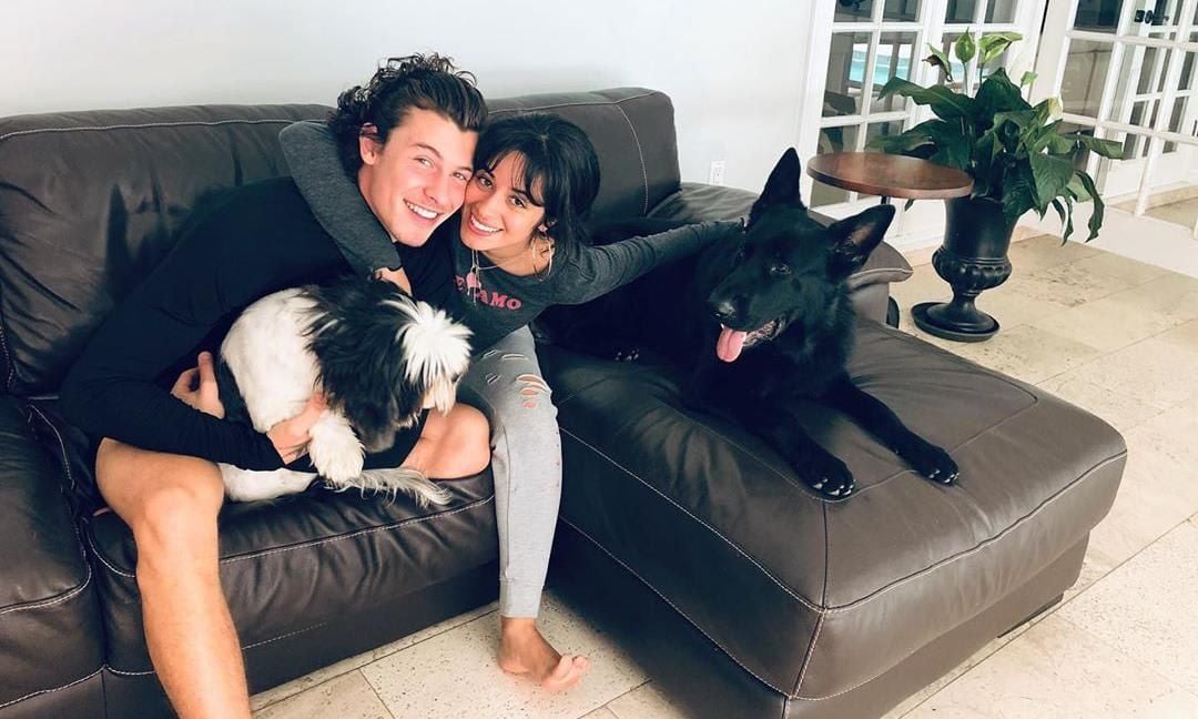 camila cabello shawn mendes