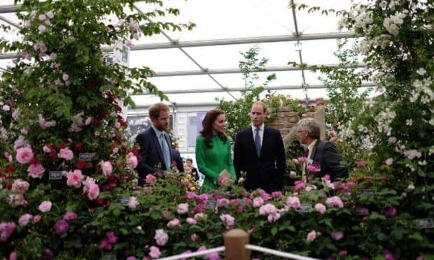 Kate Middleton attended the Chelsea Flower Show with Prince Harry and William.
<br>
Photo: Instagram.com/kensingtonroyal