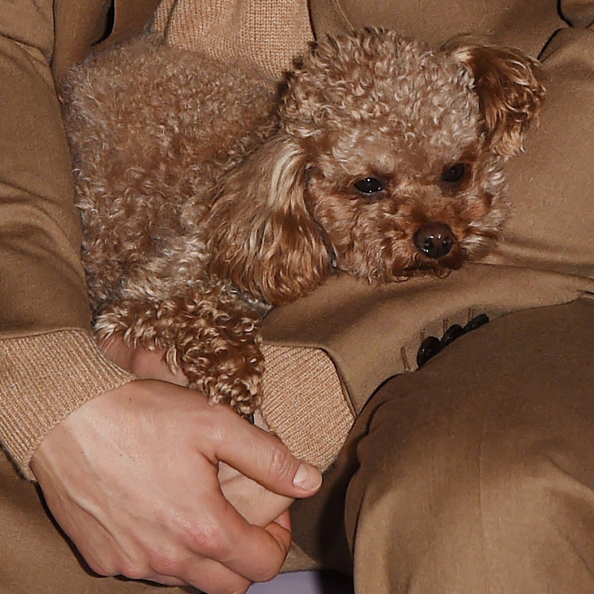 Boss   Front Row   Milan Fashion Week Fall/Winter 2020 2021