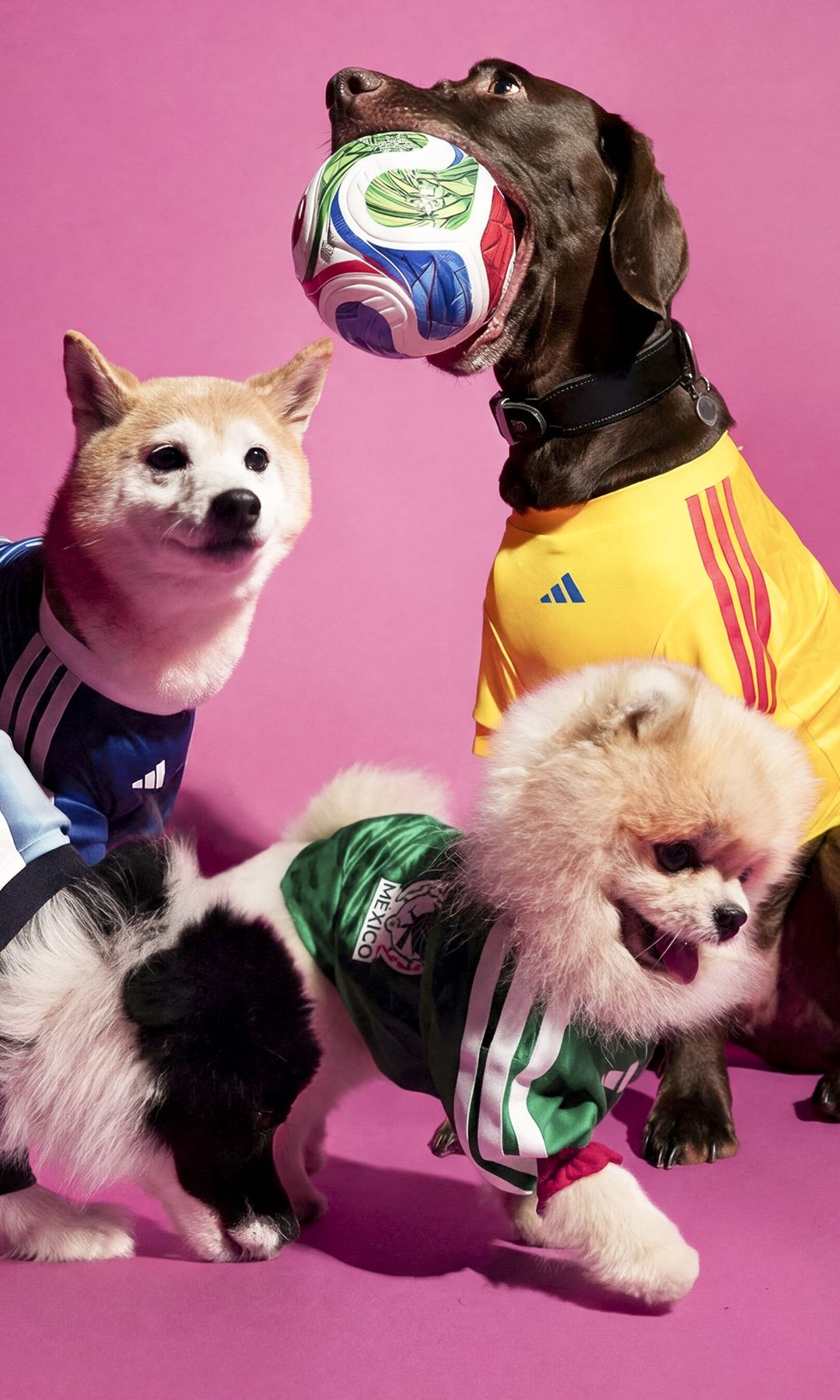 Your dog can now wear an adidas World Cup jersey and match your game day look