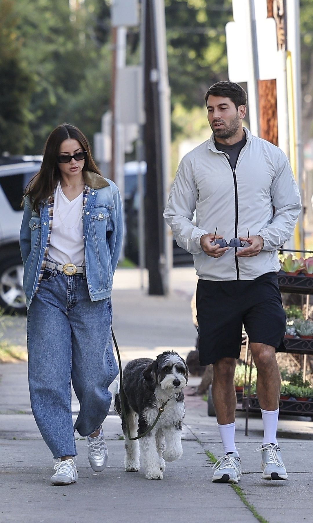 The pair were seen dressed comfortably for their outing and hanging out with de Armas' dog, Salsa
