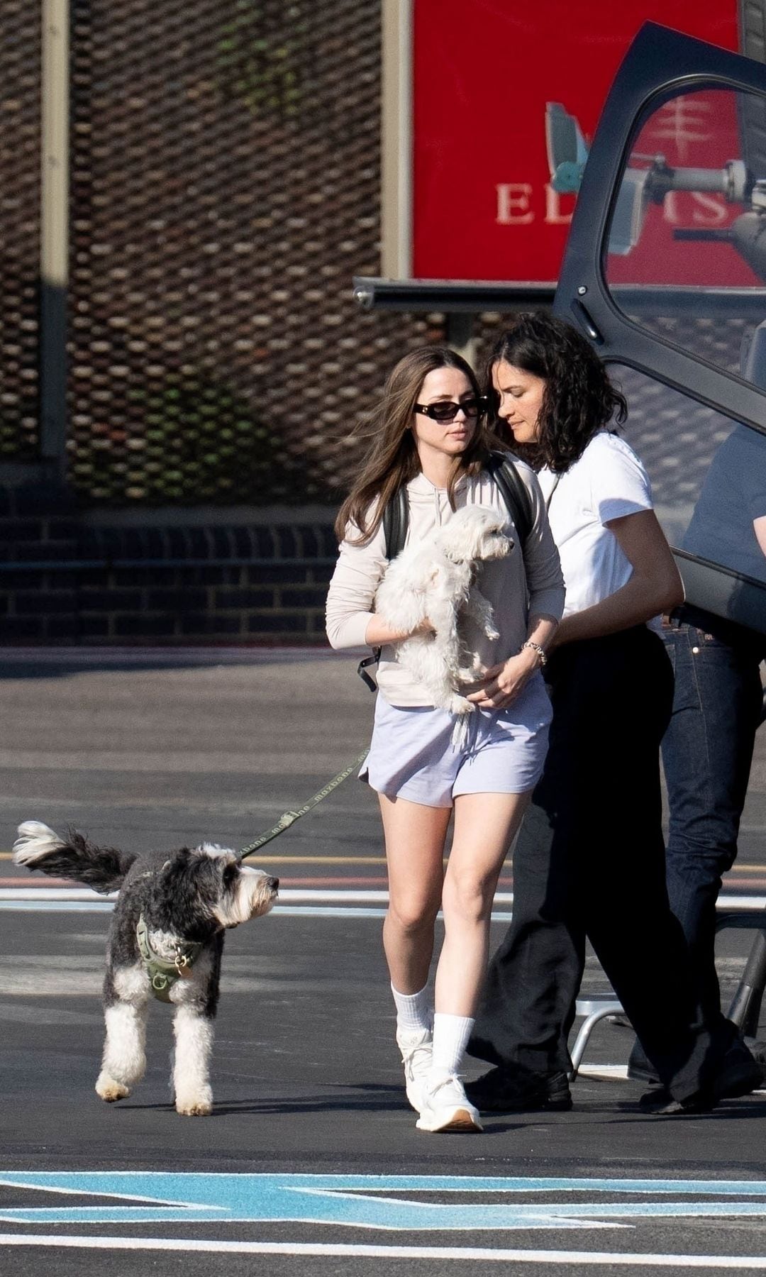 Just one of the times Ana de Armas and her pack of dogs hitched a ride to London on Tom Cruise’s helicopter.