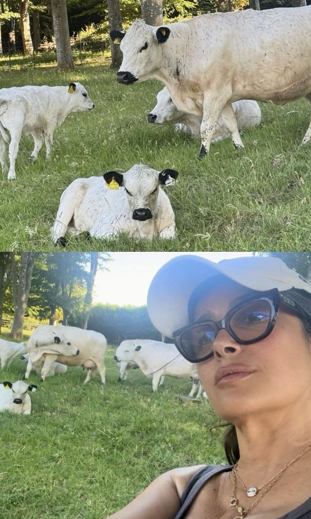 Hayek shared multiple photos of her farm