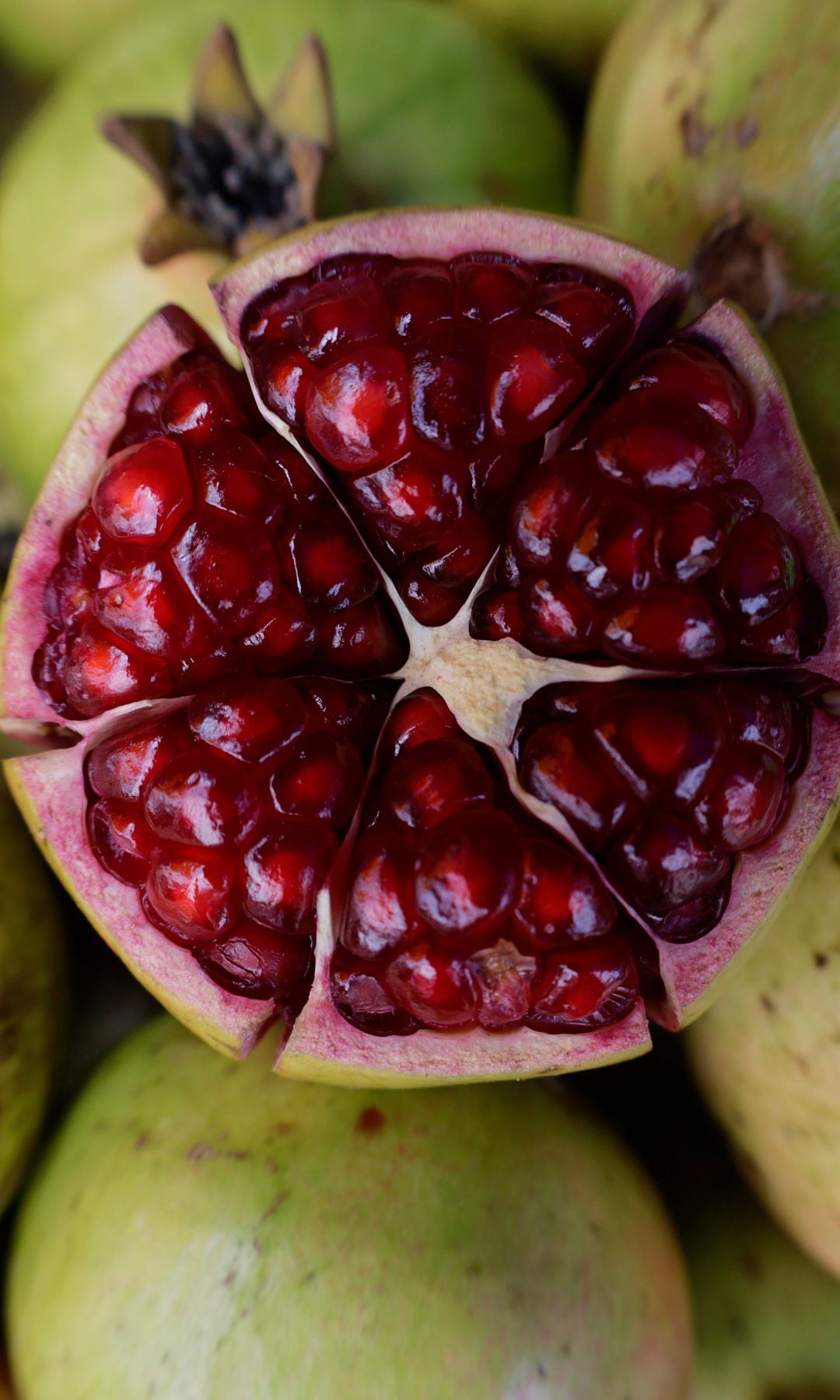 Why your tree isn’t bearing fruit