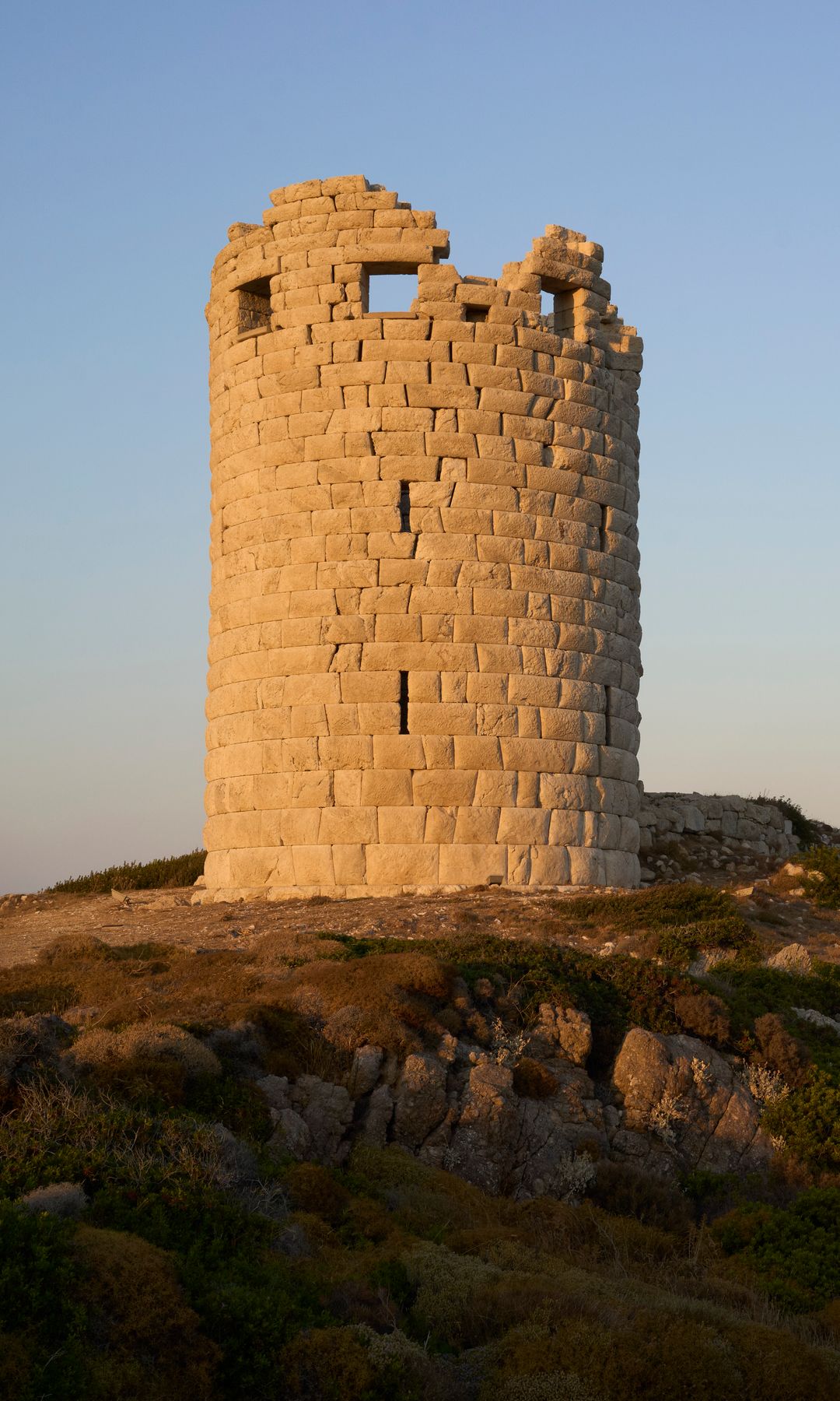 Media Image