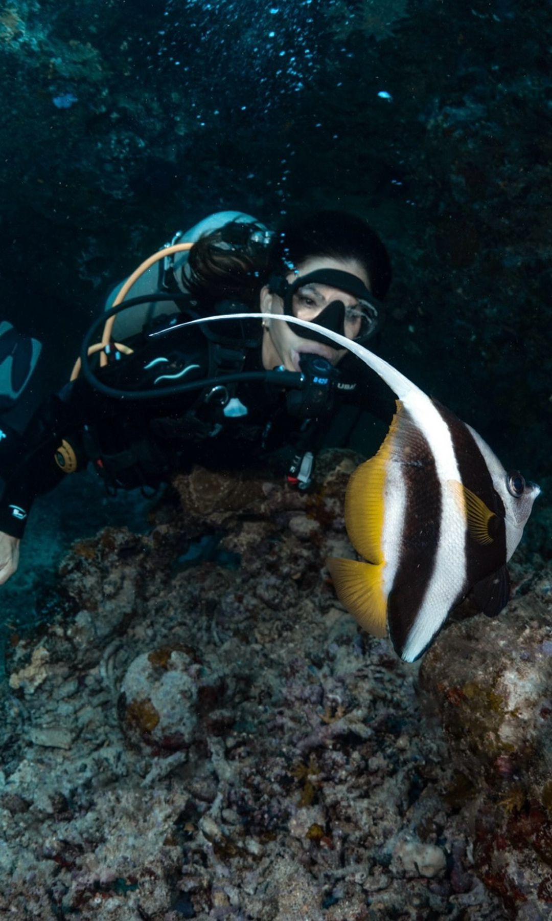 Lauren Sanchez Bezos shared some photos of her most recent scuba diving trip