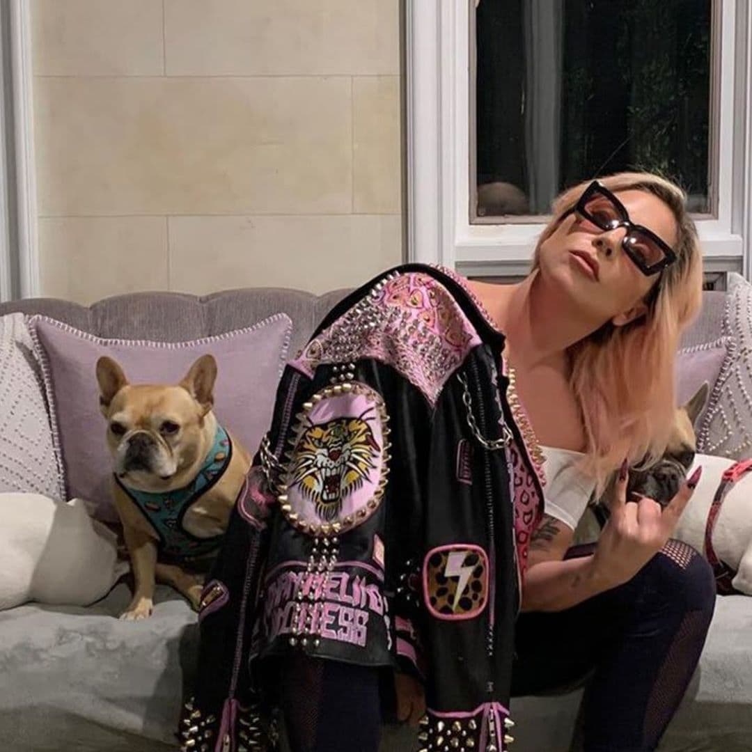Lady Gaga dognapping and shooting: 5 arrested including the woman who returned the French bulldogs