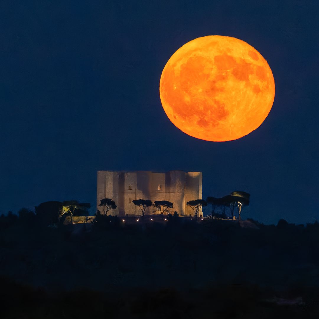 The Aquarius Full Moon arrives today: These zodiac signs could feel it the most