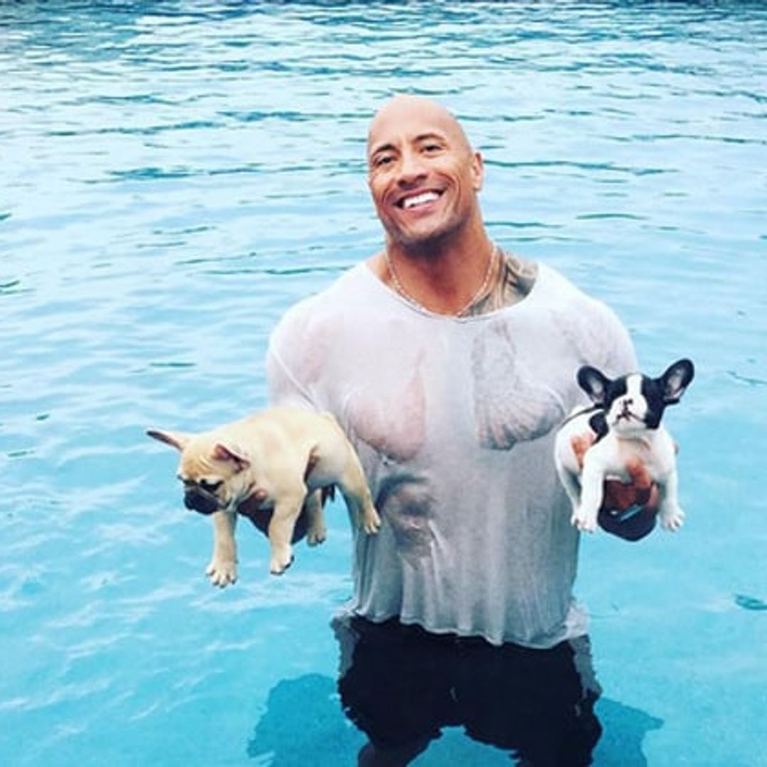 Dwayne ‘The Rock’ Johnson shares adorable video of puppy Brutus