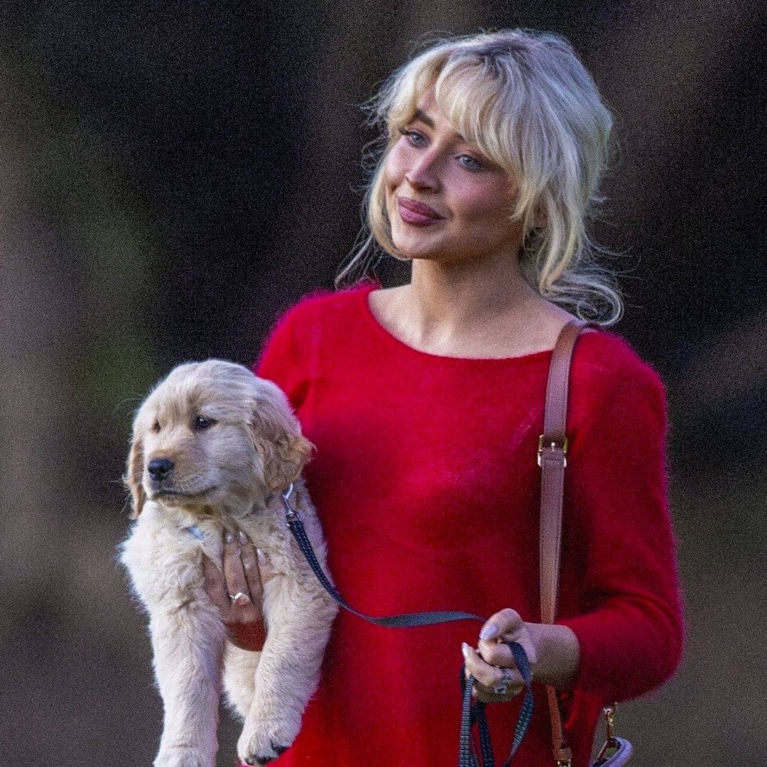 Pet of the week: Sabrina Carpenter steps out in red minidress to play with her new puppy in LA
