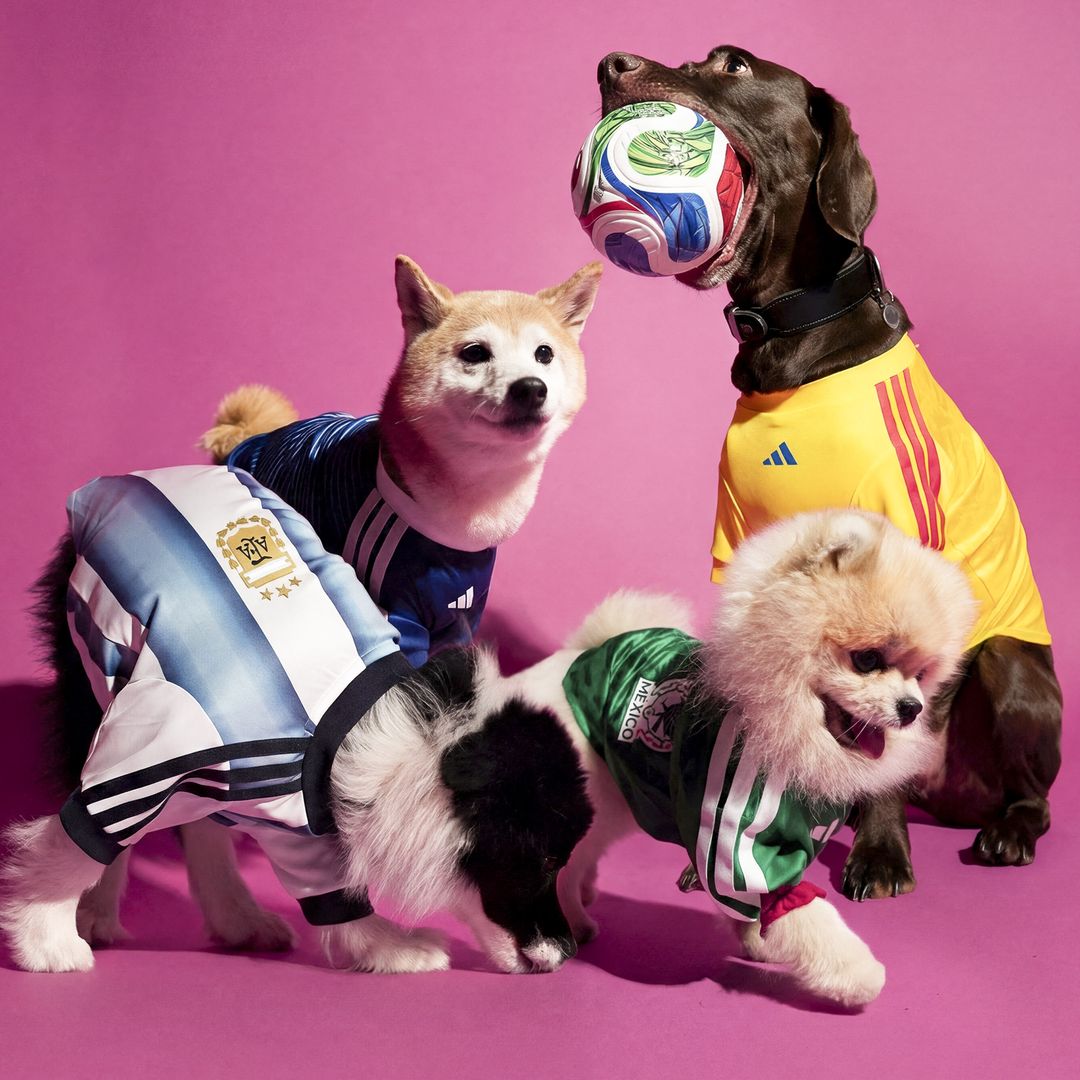 Your dog can now wear an adidas World Cup jersey and match your game day look