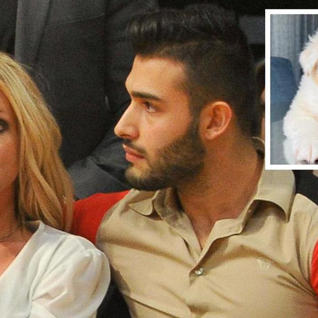 Britney Spears and Sam Asghari’s dogs are reportedly the most ‘difficult’ asset in divorce