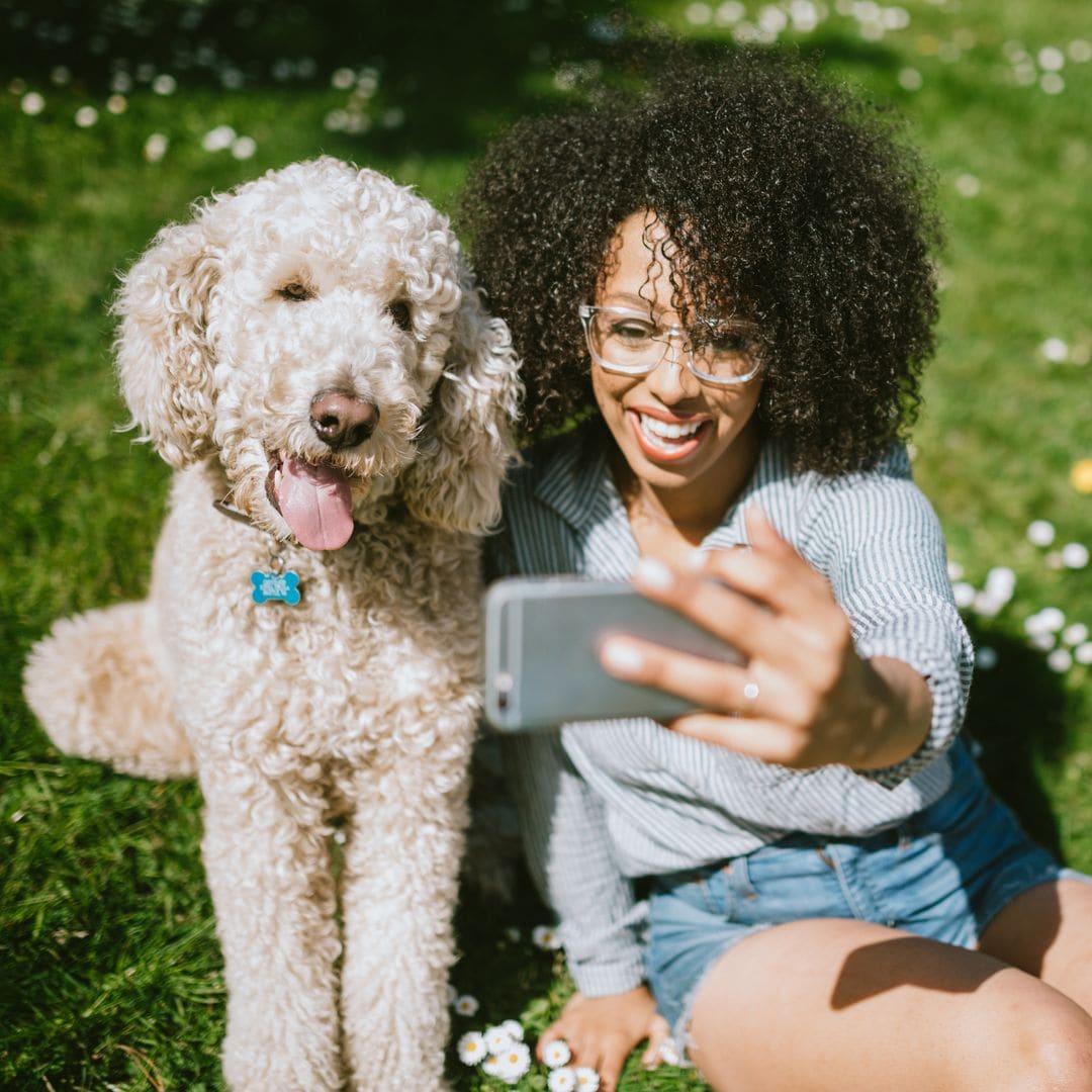 A happy young adult woman enjoys time at a park with her standard poodle.  The take a break from their play to take a self portrait together with her smart phone.