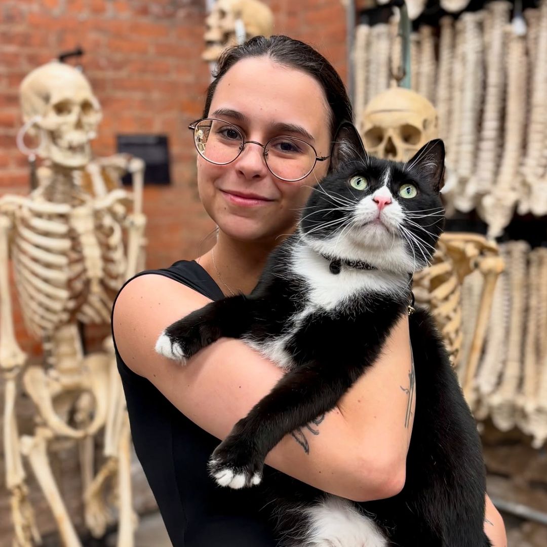 Pet of the week: Meet Bone Jovi, the shelter cat who found a home in a museum