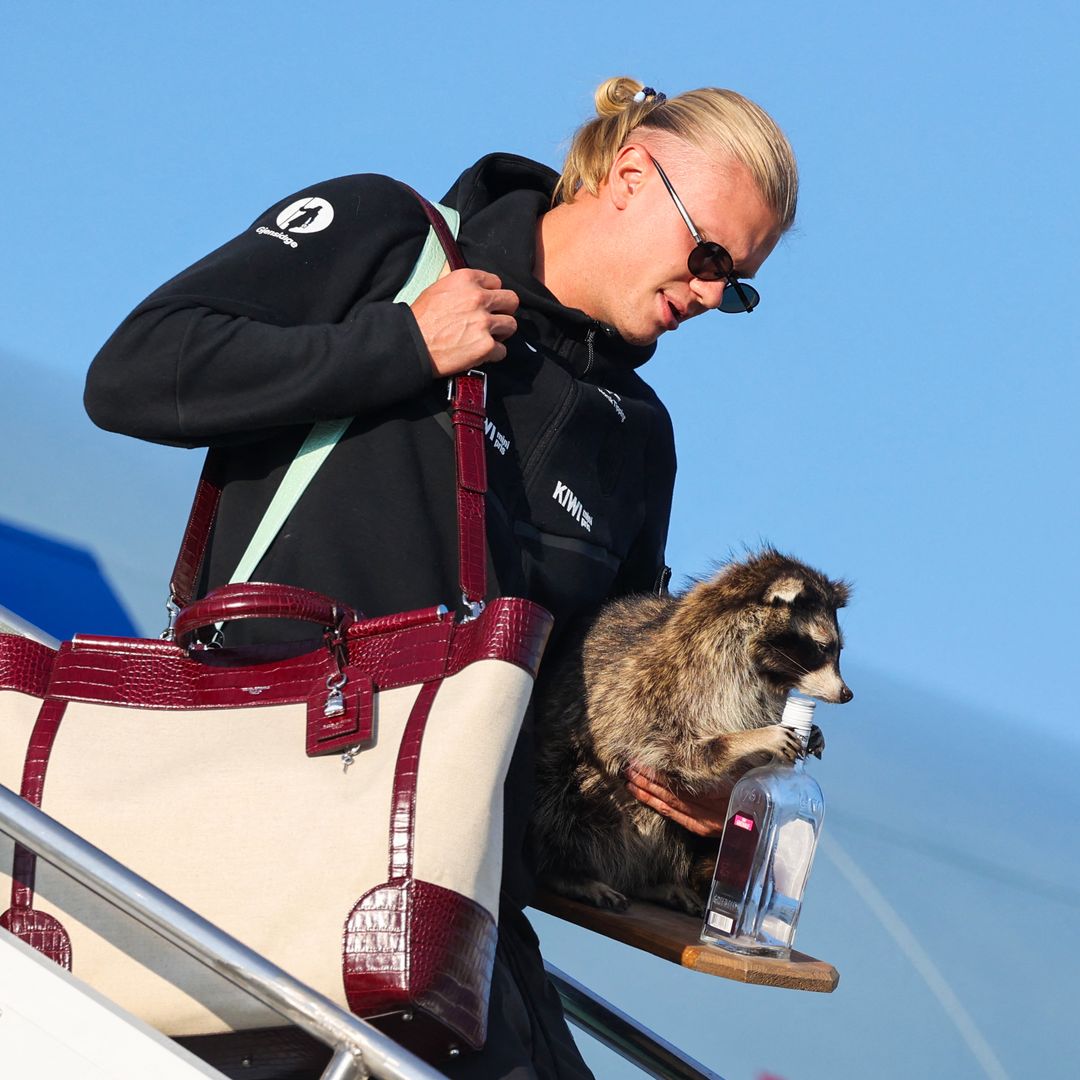 Erling Haaland goes viral after carrying taxidermy raccoon through airport