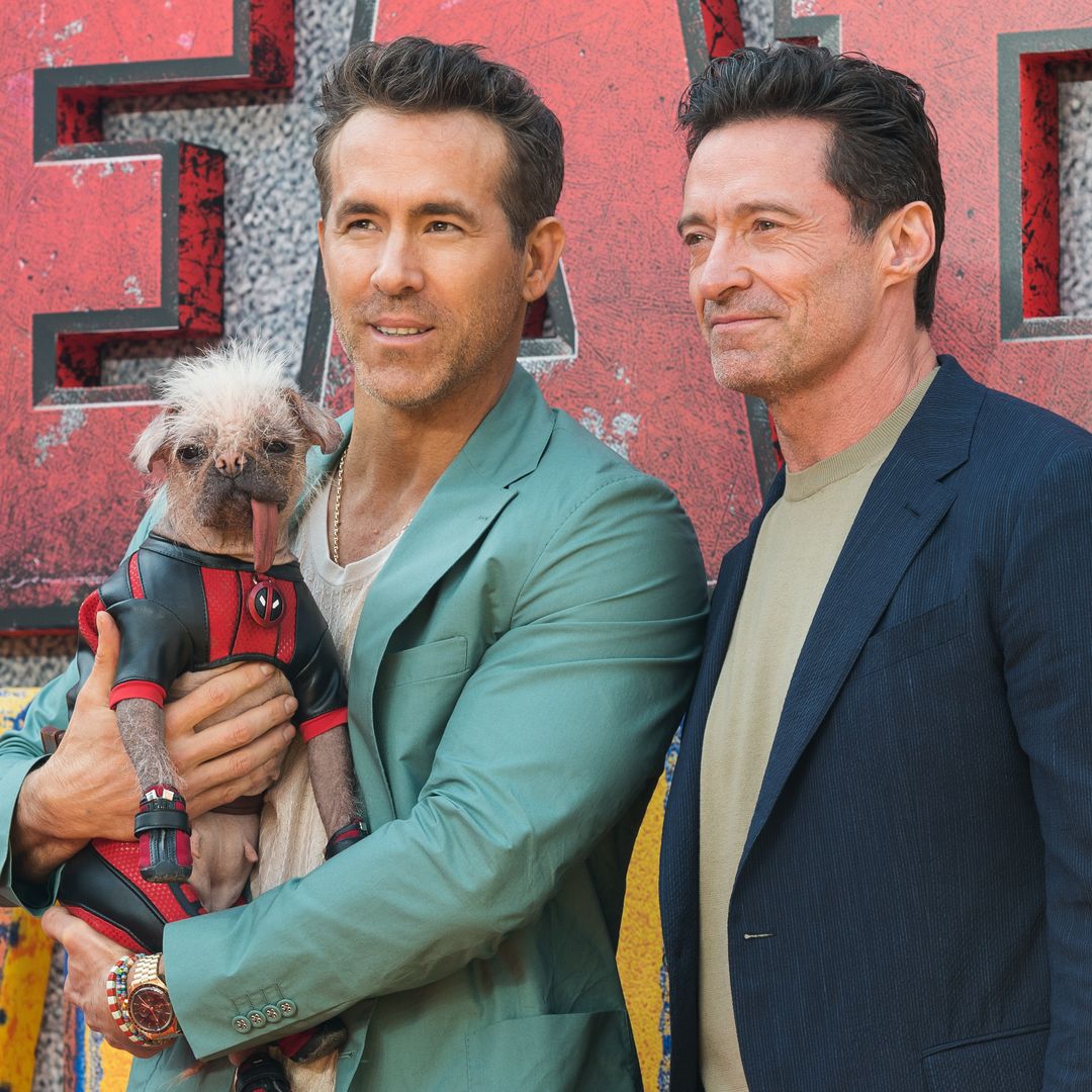 Pet of the week: Meet Peggy, Britain's ugliest dog and the new Marvel star