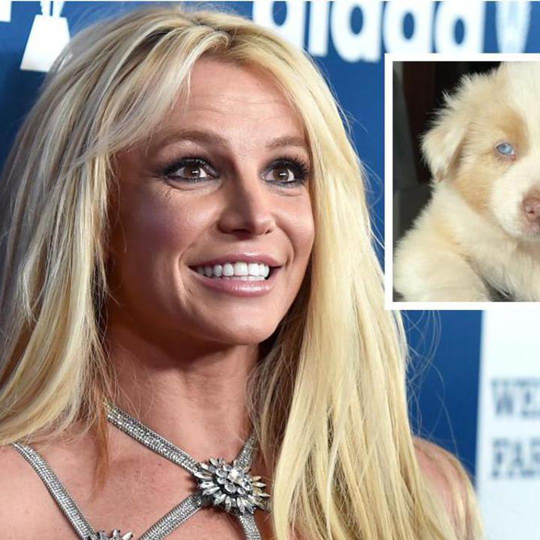 Britney Spears adopts adorable new puppy named Sawyer: ‘He makes my heart melt’