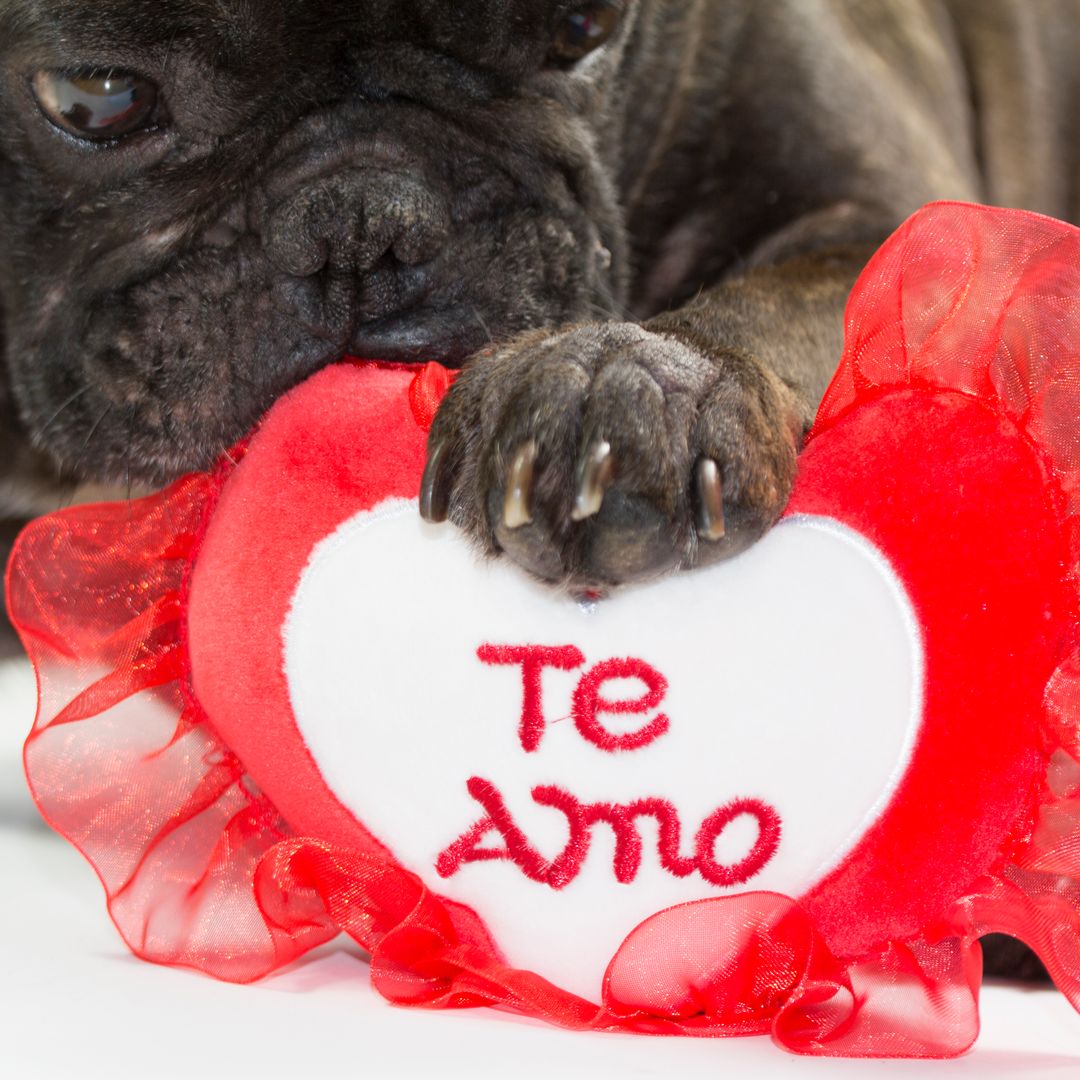 Why Spanish might be the happiest language, according to research
