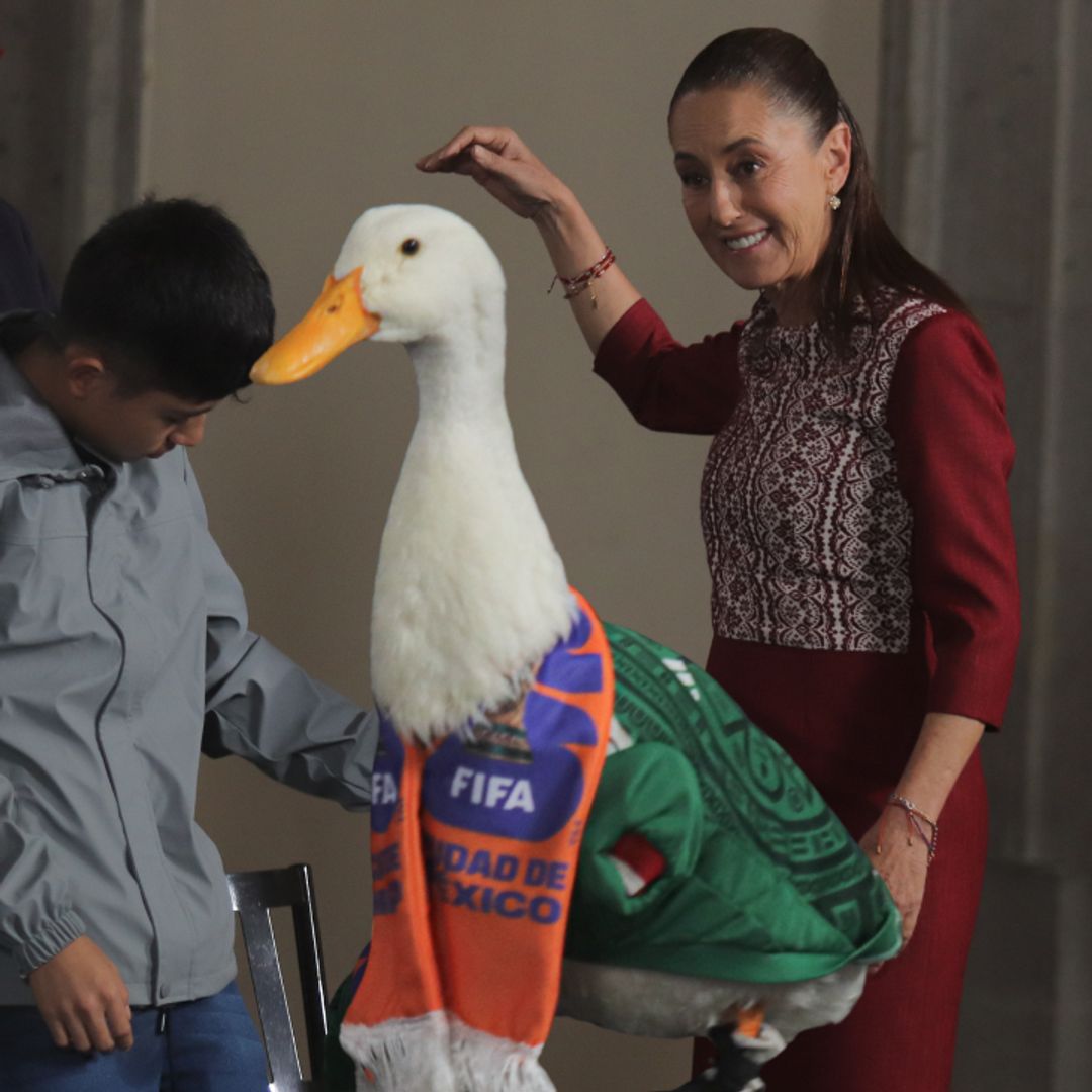 The unofficial 2026 FIFA World Cup mascot is a Mexican duck: Here’s what this means