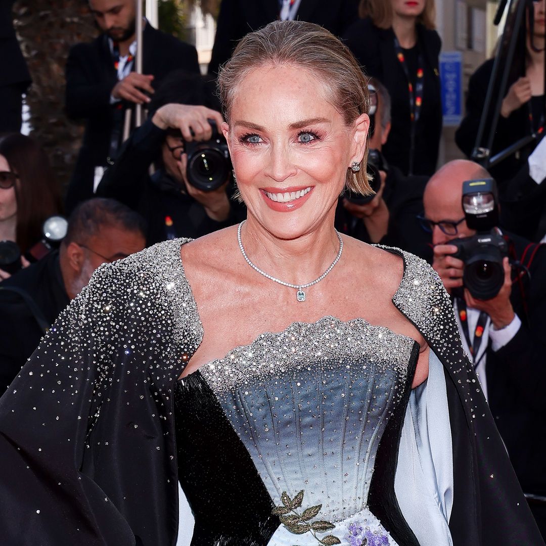 Sharon Stone reveals the medical decision her husband couldn't accept — and how it ended the marriage
