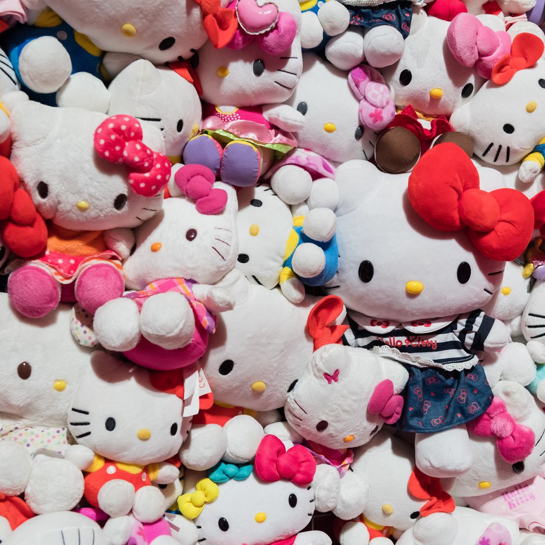 Hello Kitty's true identity shocks fans! The beloved character is not a cat