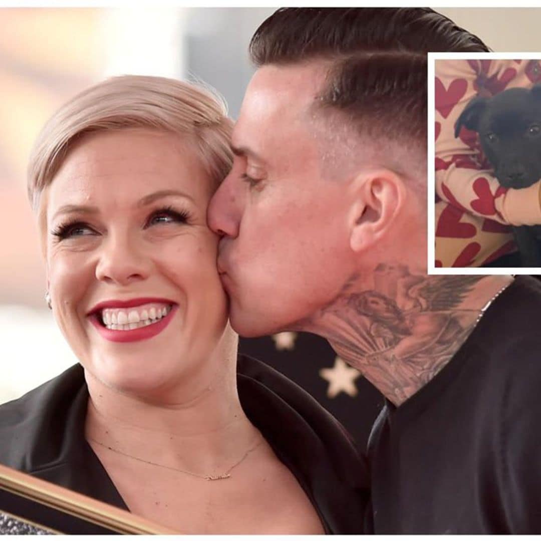 Pink introduces her new adorable family member!
