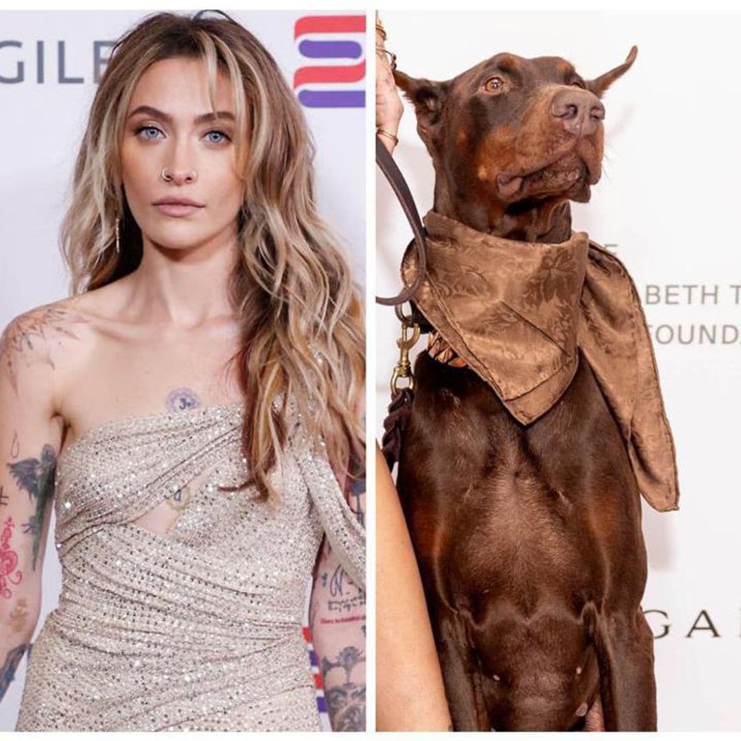 Pet of the week: Paris Jackson and her adorable dog Koa walk the red carpet together