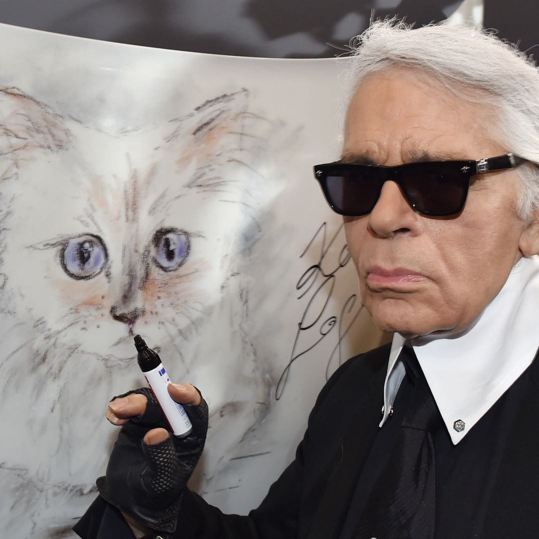 Karl Lagerfeld's cat Choupette still waiting for her inheritance — Six years after his death