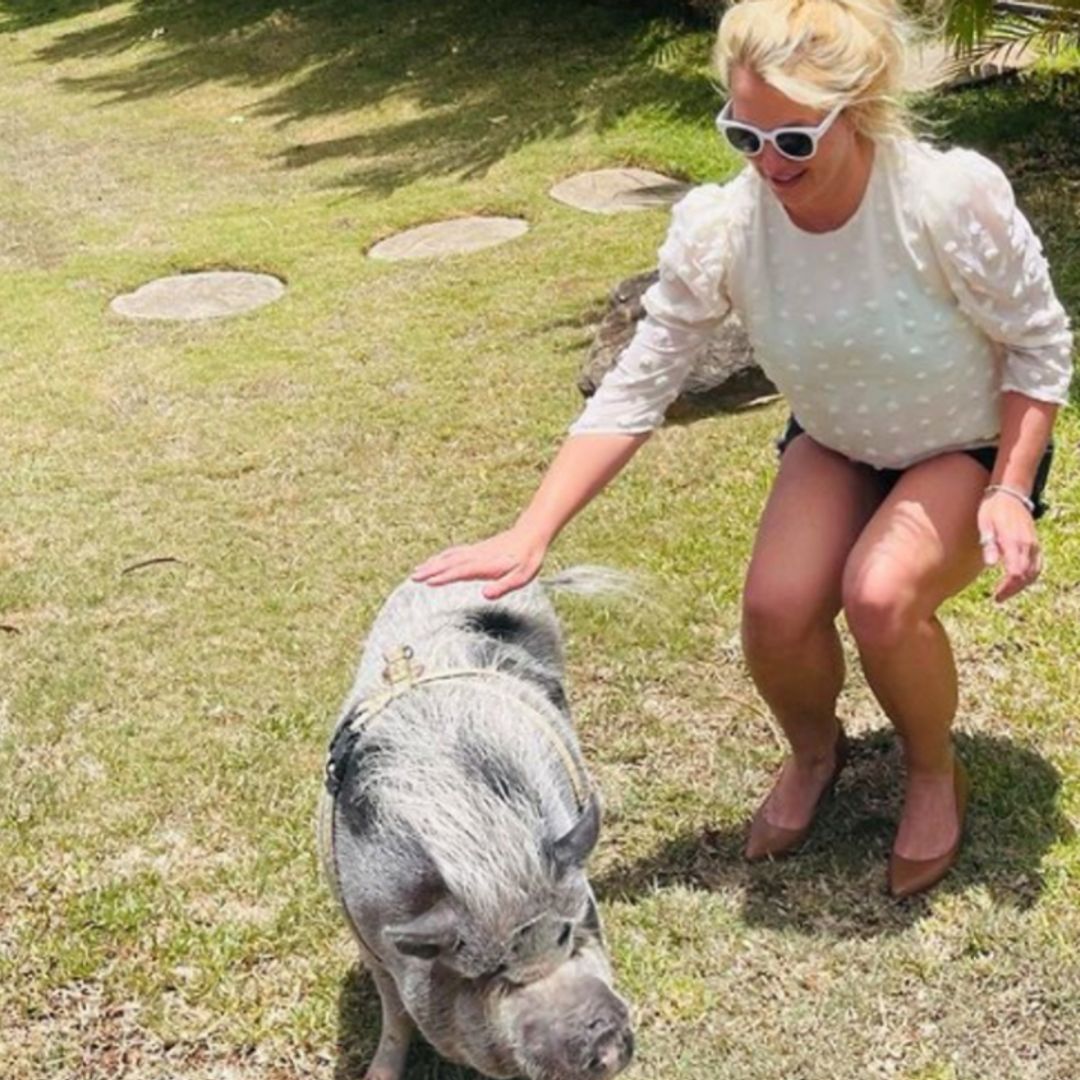 Britney Spears reveals she spends time with animals to deal with social anxiety