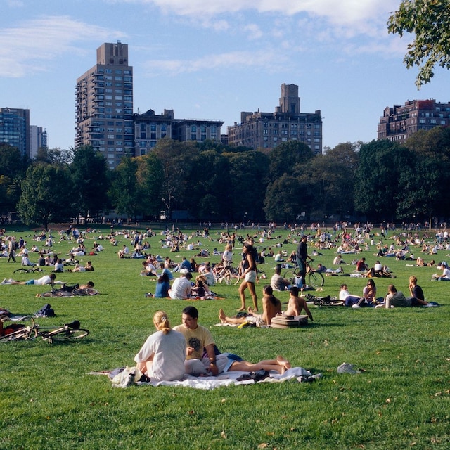 New York summer 2025 guide: Top events, festivals, and things to do