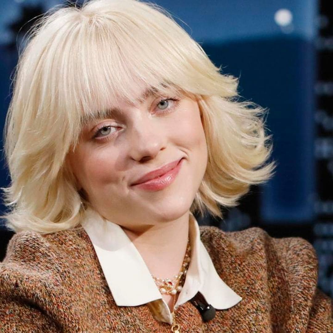 WATCH: Billie Eilish stops concert to help fan who had trouble breathing