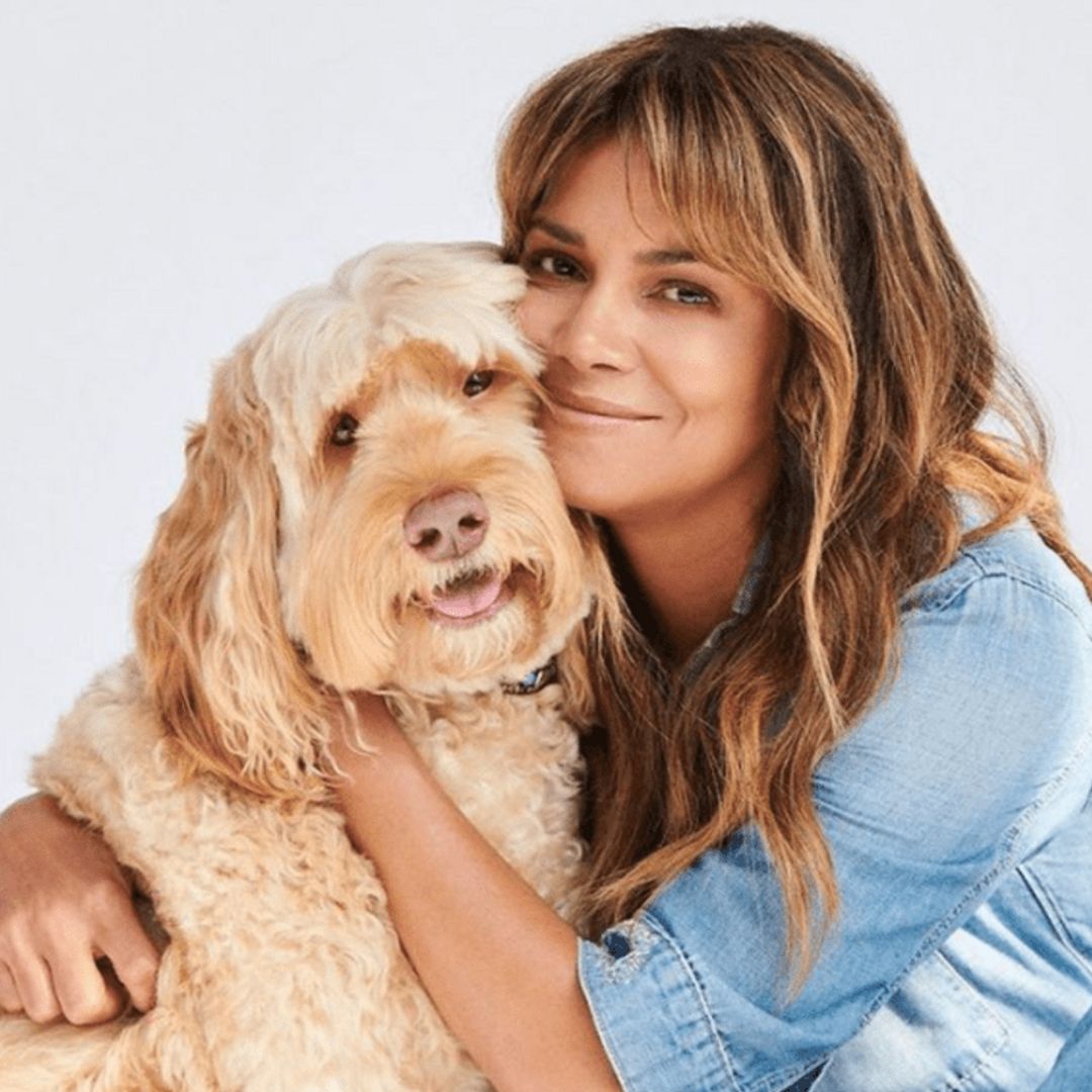 Halle Berry reveals easy recipe for her favorite homemade face mask