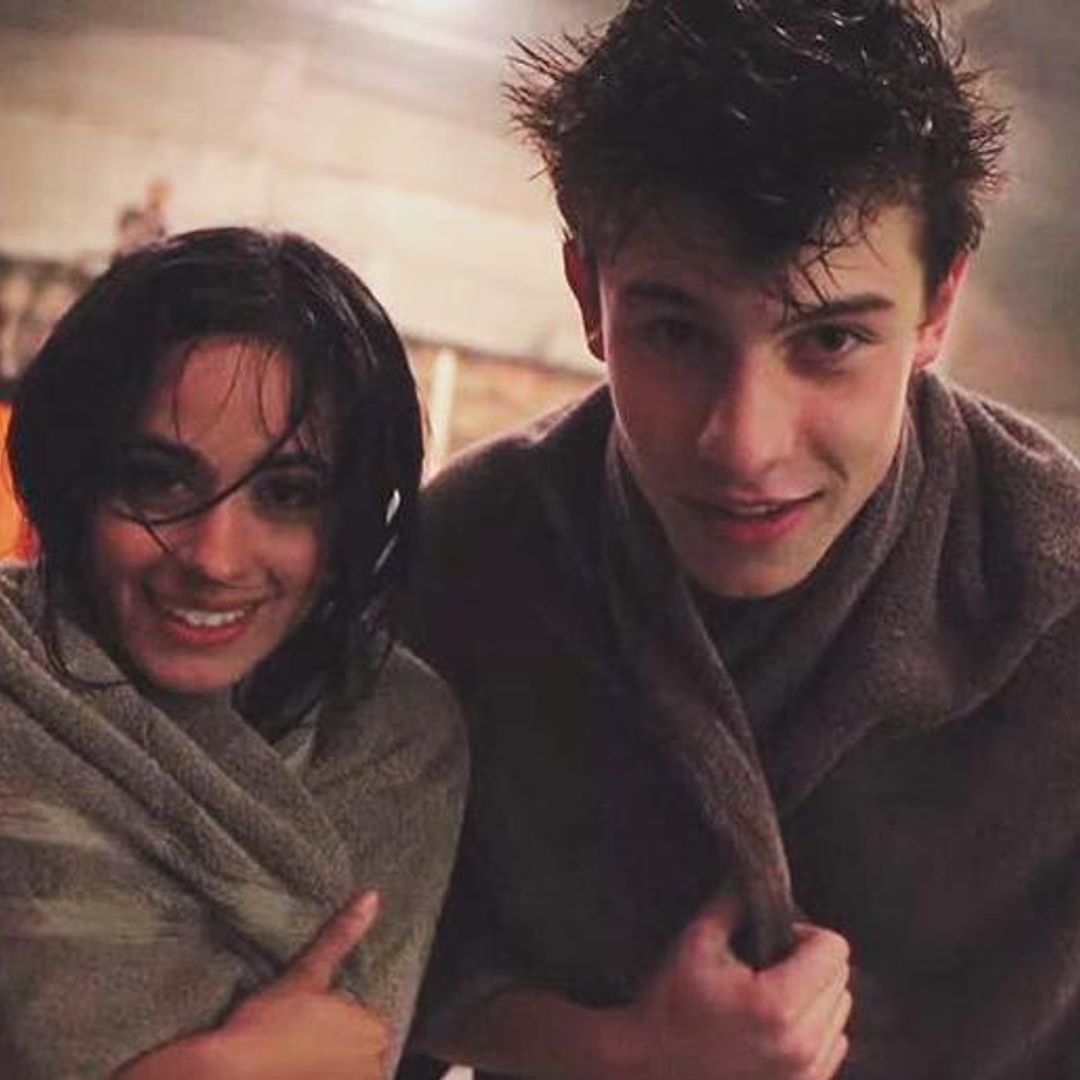 Camila Cabello and Shawn Mendes are not dating, but their friendship is picture-perfect
