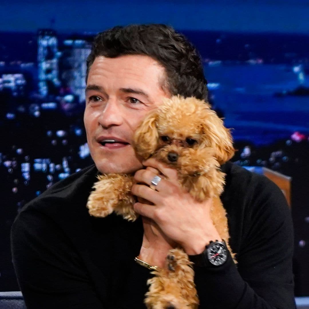 Orlando Bloom and his dog steal the show in NYC while Katy Perry and Daisy dress up in Sydney