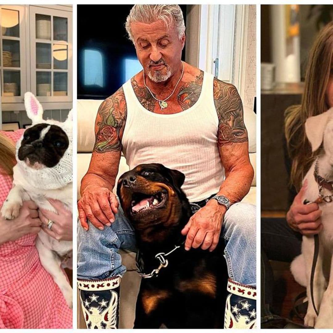 National Dog Day: Celebrities and their four-legged friends