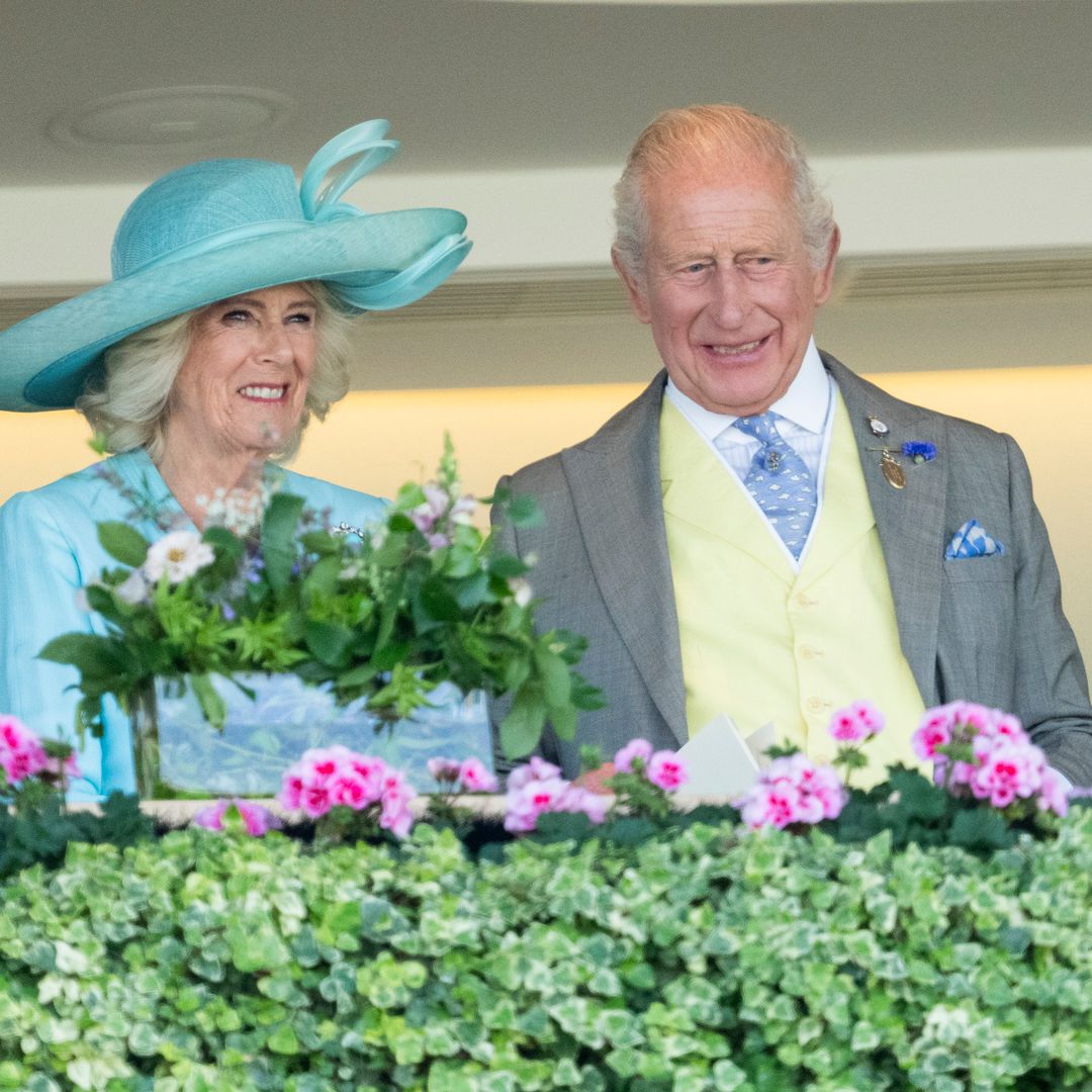 Queen Camilla was reportedly the only one who knew about King Charles and Prince Harry's reunion