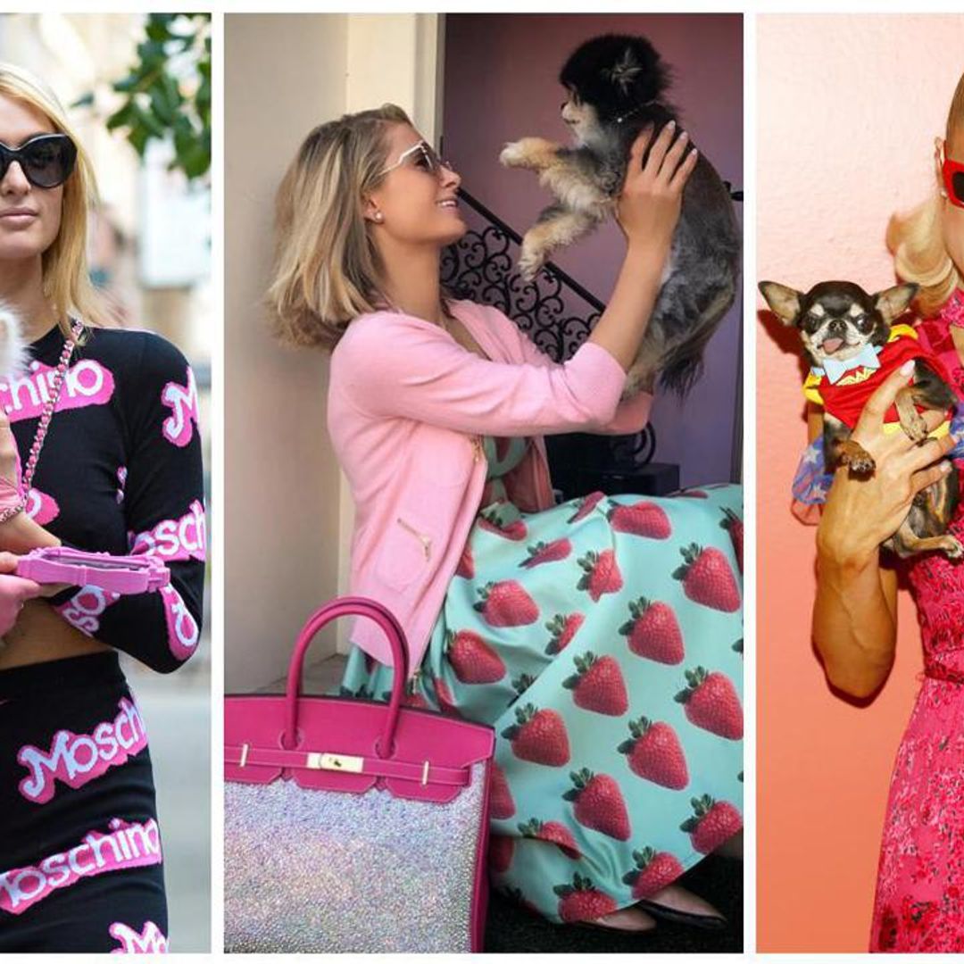 Meet Paris Hilton’s fur kids! The pets keeping the billionaire heiress company